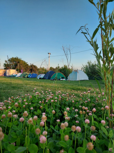 Camping Danubius – Delta Dunării