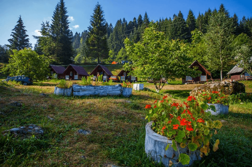 Camping Ursulet – Neamț